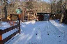 Winter in Lauenhain
